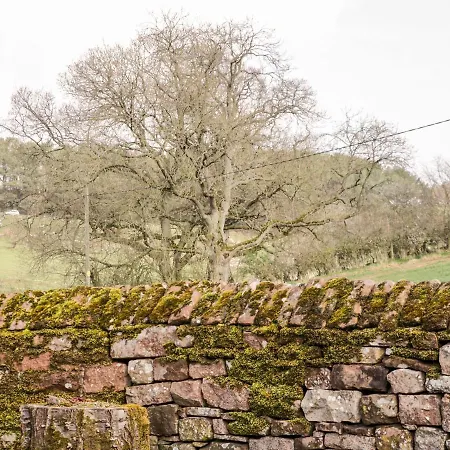 بيت للعطل The Coach House